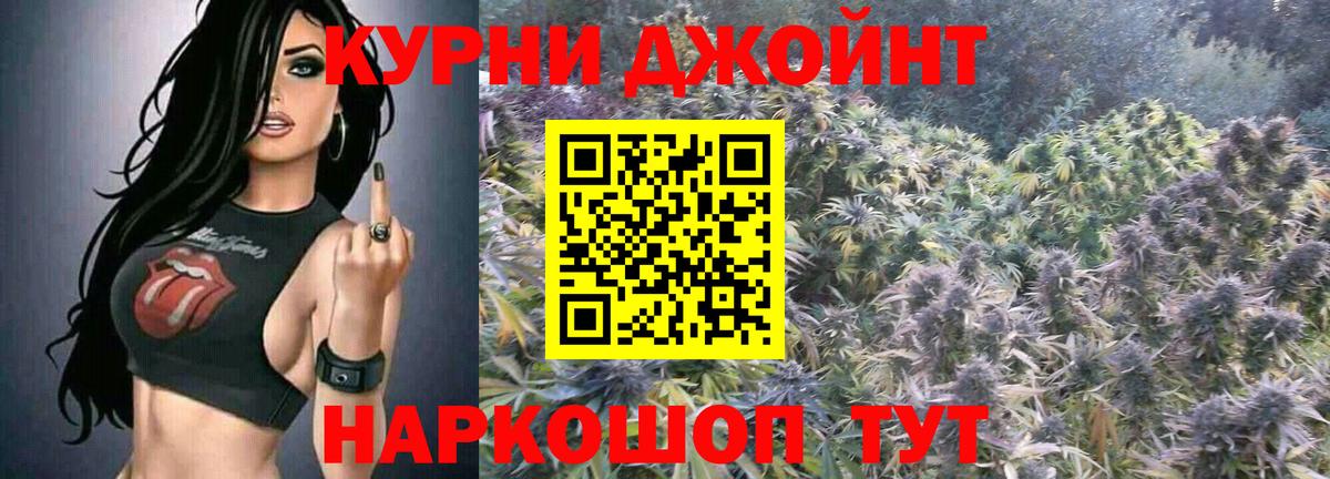 Каннабис OG Kush  Вход с VPN  Канабис конопля  Выкса  Каннабис сатива 
